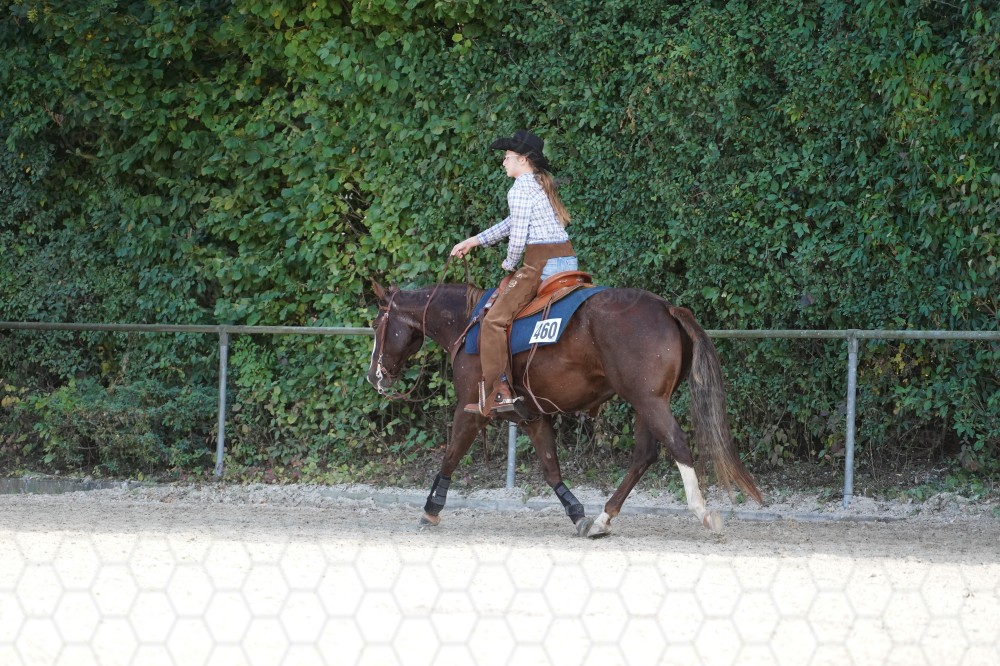 s_A_908390.JPG